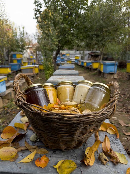 Vând miere de mană 100% naturală - 2025 - stupină proprie