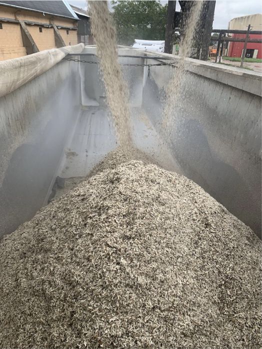 Borhot de Sfecla 2025