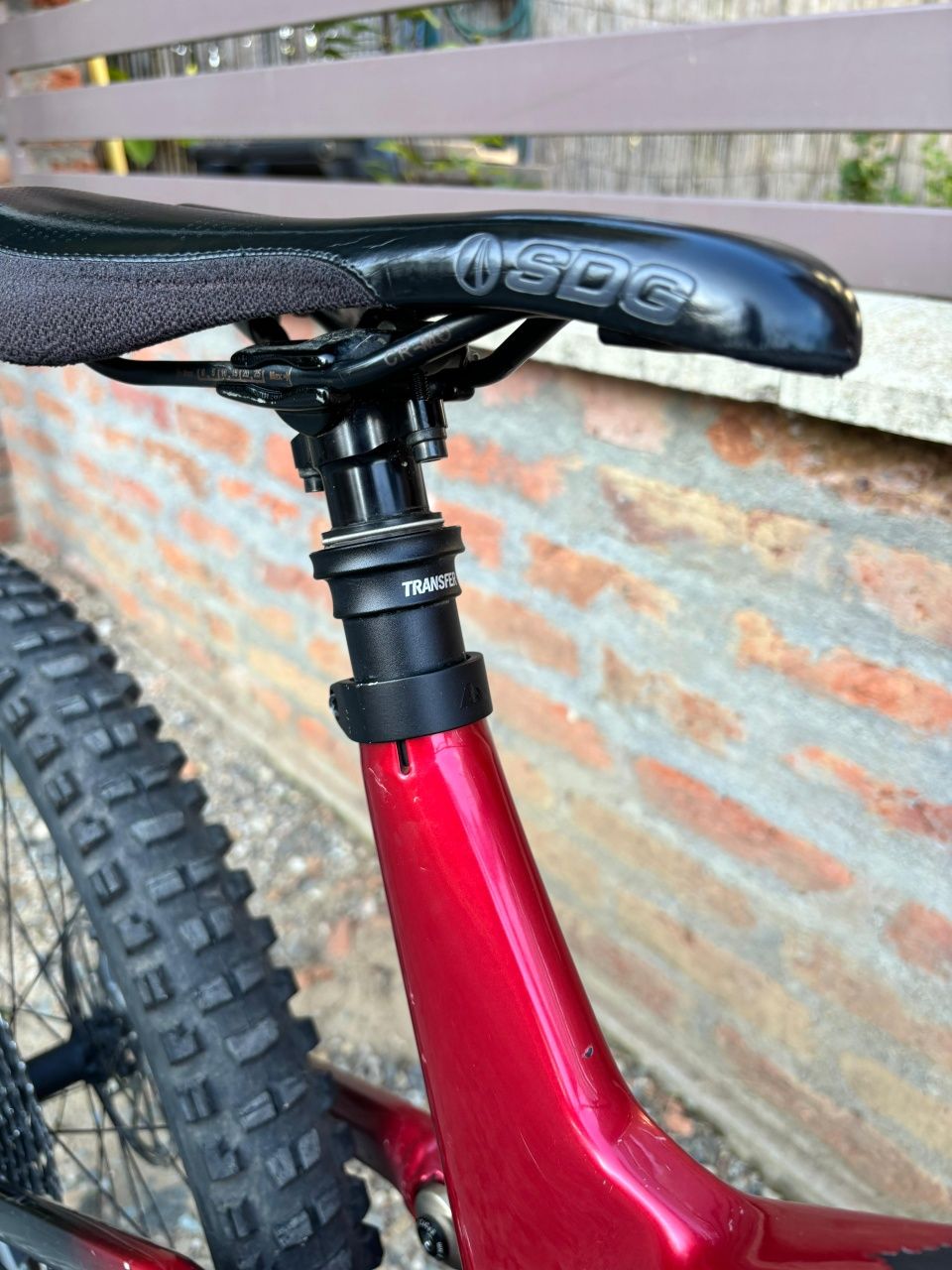 Canyon Torque CF8