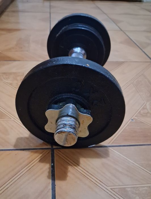 Ganteră de 10 kilograme