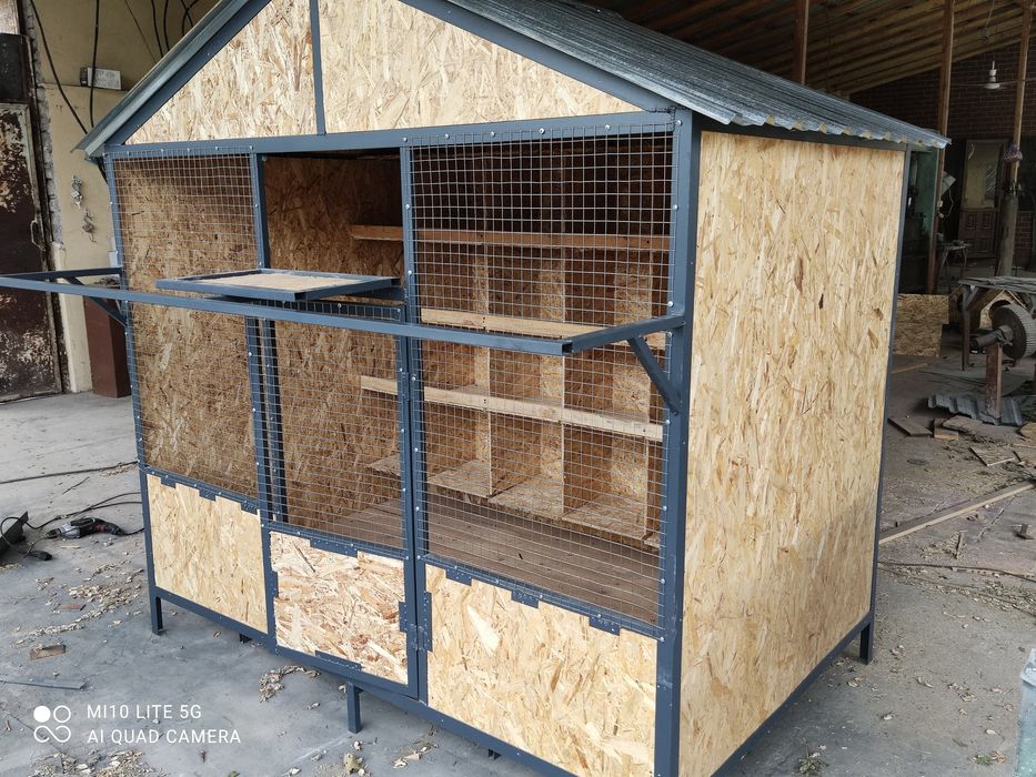 Chiroyli Kabutar kataklar