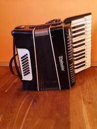 Acordeon weltmeistec