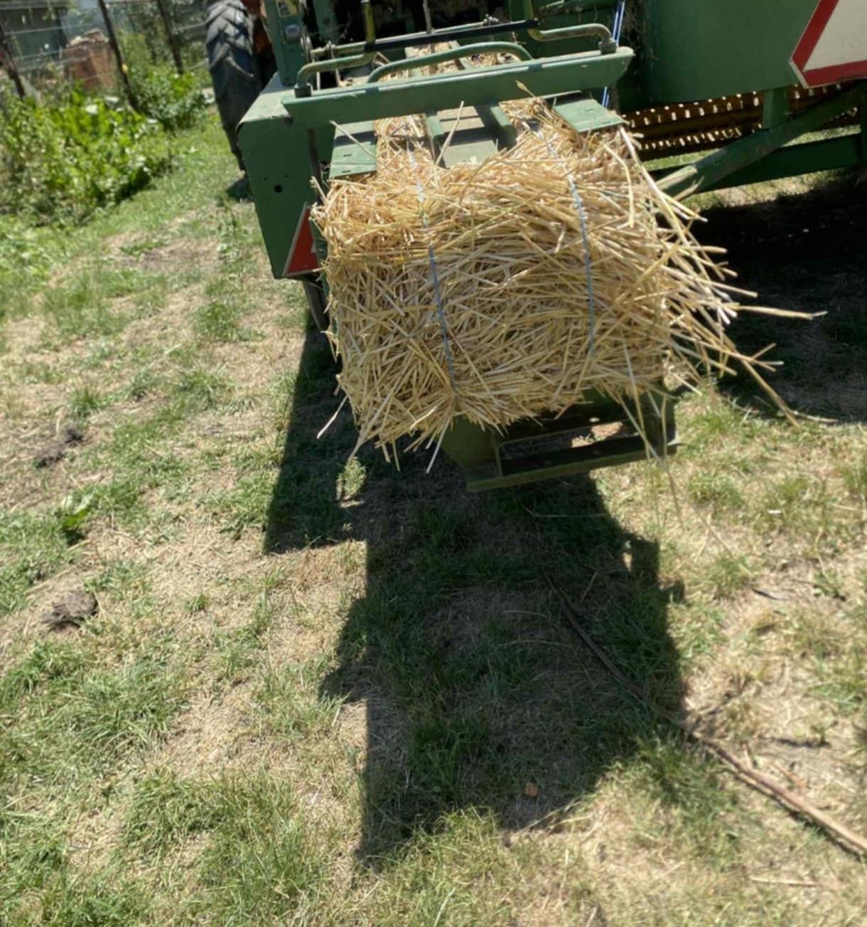Vând baloți de orzoaica