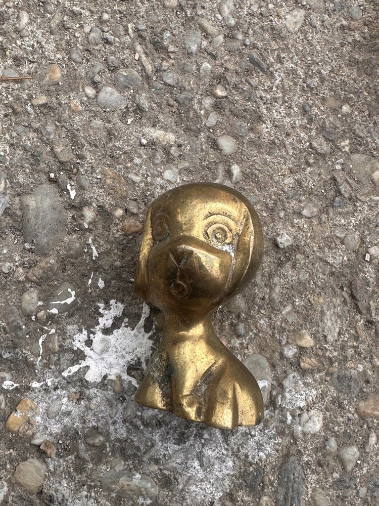 Ornamente antichitati