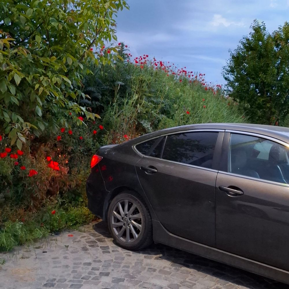 Mazda 6 , motor 2.2