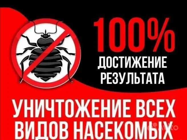 Уничтожение мышей , крыс , тараканов , так же дезинфекция дезинсекция