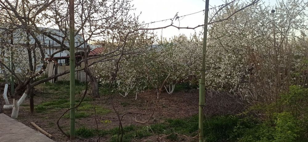 Продается участок в Чирчике