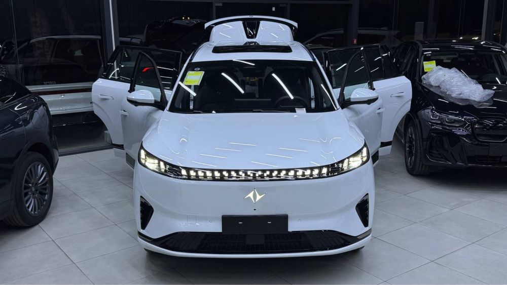 2025 DONG FENG eπ008 Max