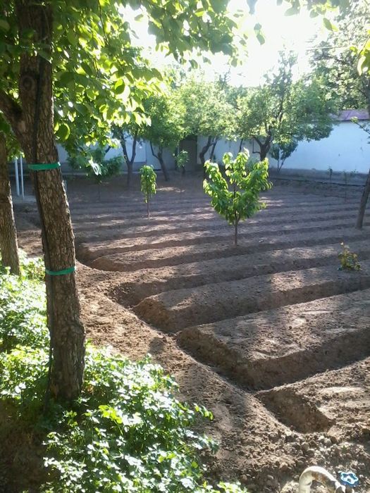 Ҳовли 12 сотих, дом 12 соток, фасад 30м/ узунлиги 40м