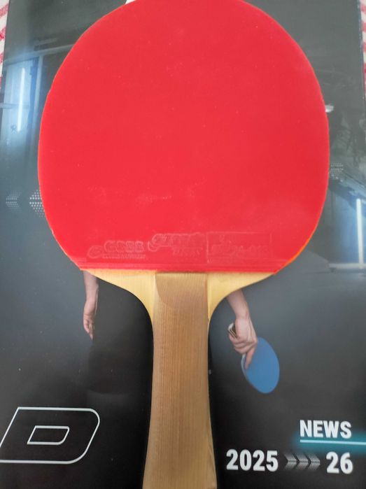 Paleta  Tenis de Masa