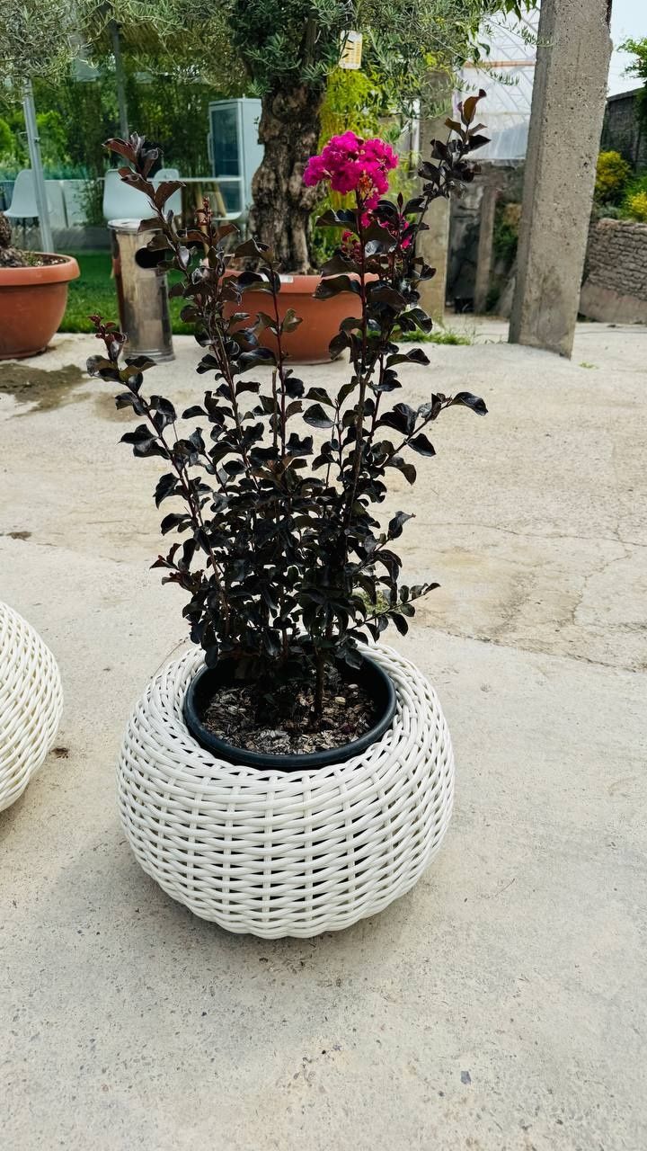 Кашпо из ротанга