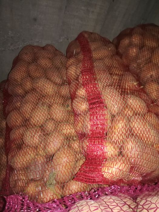 Vând, schimb, Cartofi de consum, sămânță, animale