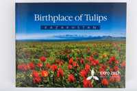 Фотокнига Birthplace of Tulips 207 страниц, твердая обложка