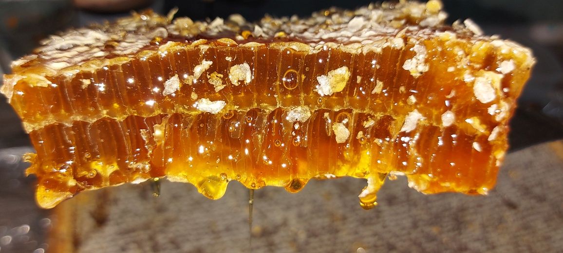 Продается натуральный мёд