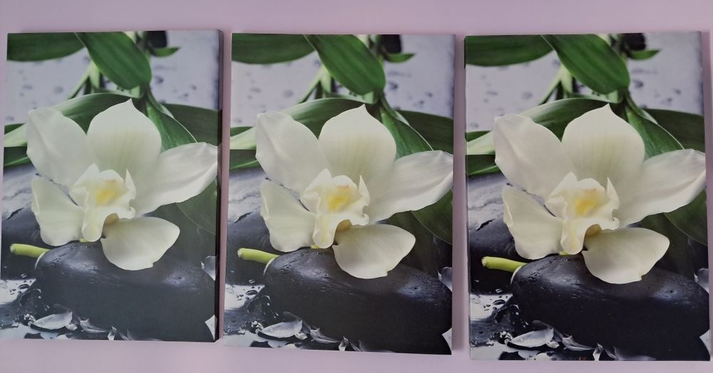 Set 3 tablouri Orhidee