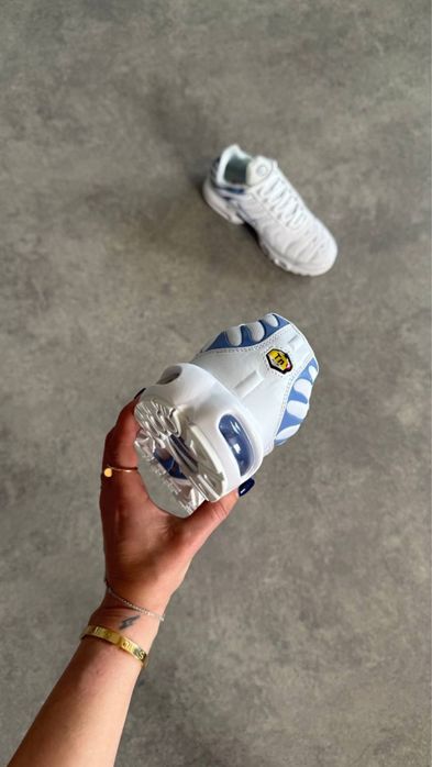 Nike Air Max Plus TN  'Ashen Slate”