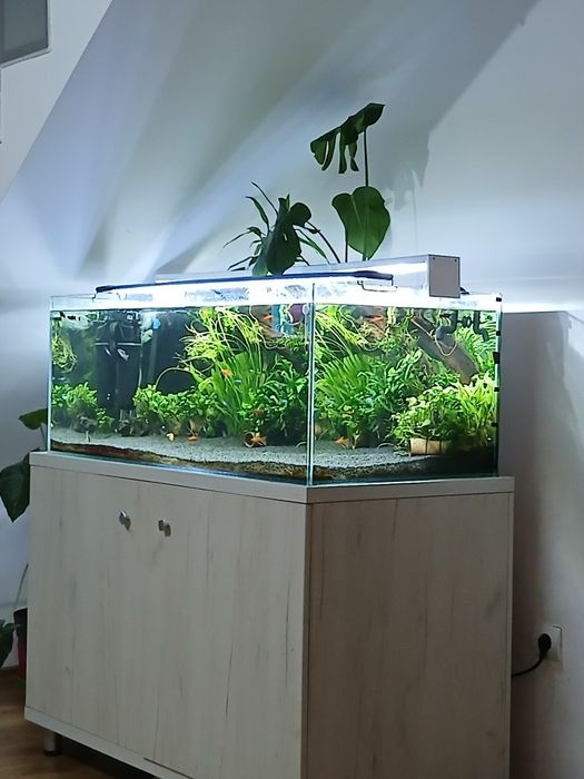 Acvariu 360L + plus stand