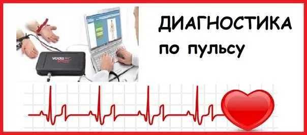 Аппаратно-программный комплекс - «ВедаПульс Профессиональный»