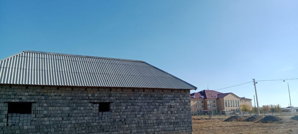 Туркестан уй жаздык