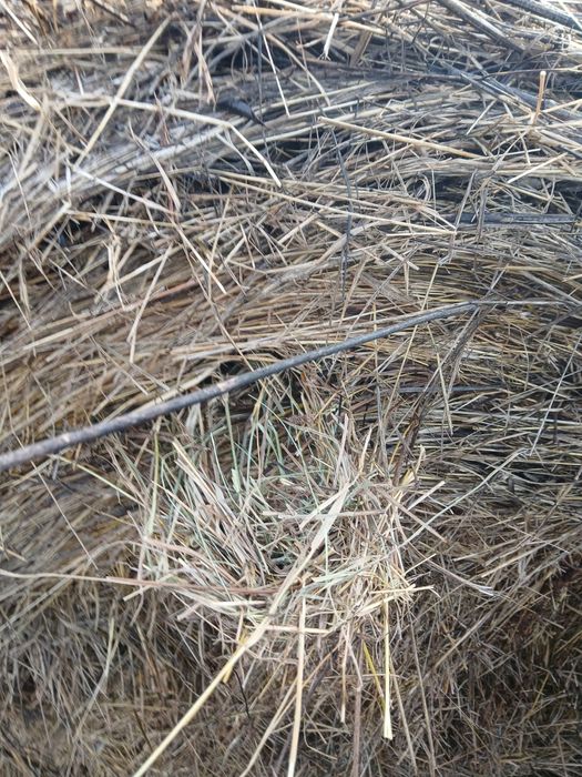 Vând Baloți Fânețe