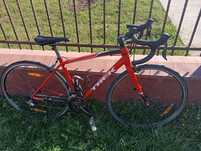 Cursiera TREX urgent