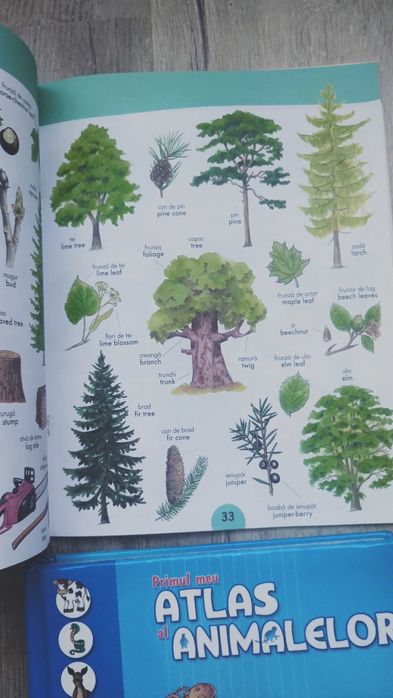 Lot 4 cărți pentru copii