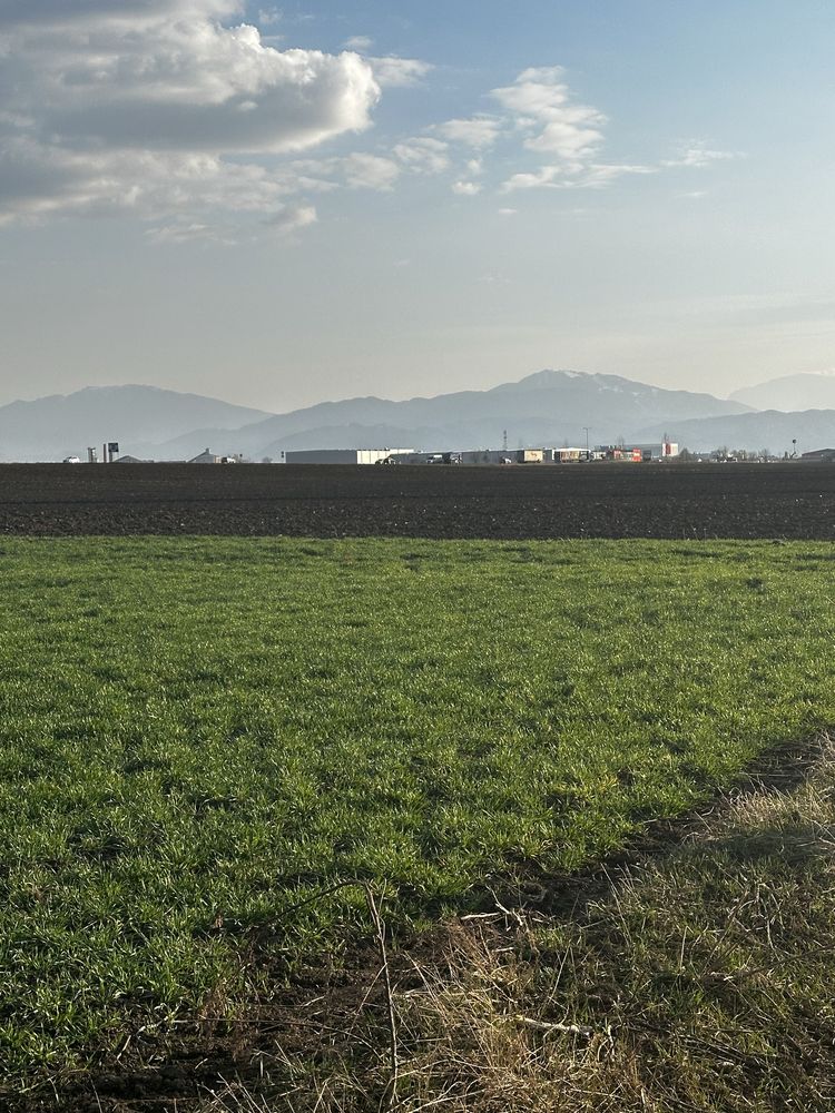 Teren extravilan zona Mielle 10000 mp / 9 € /mp