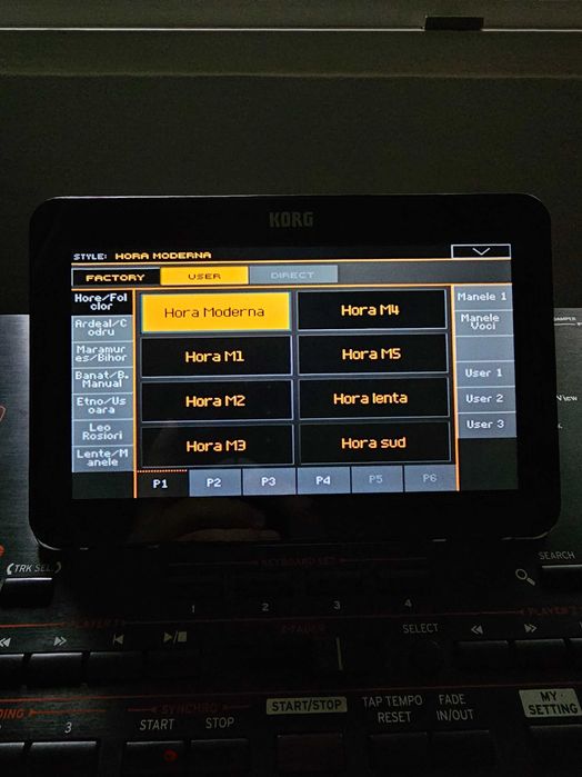 Set Korg PA4X Personal