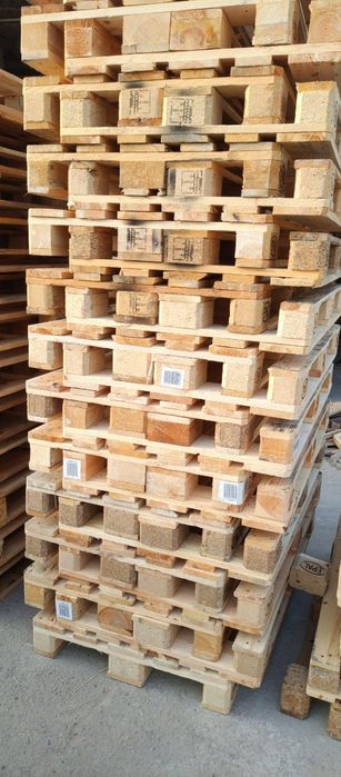 Paddon 1- sort yevro 80 mingdan