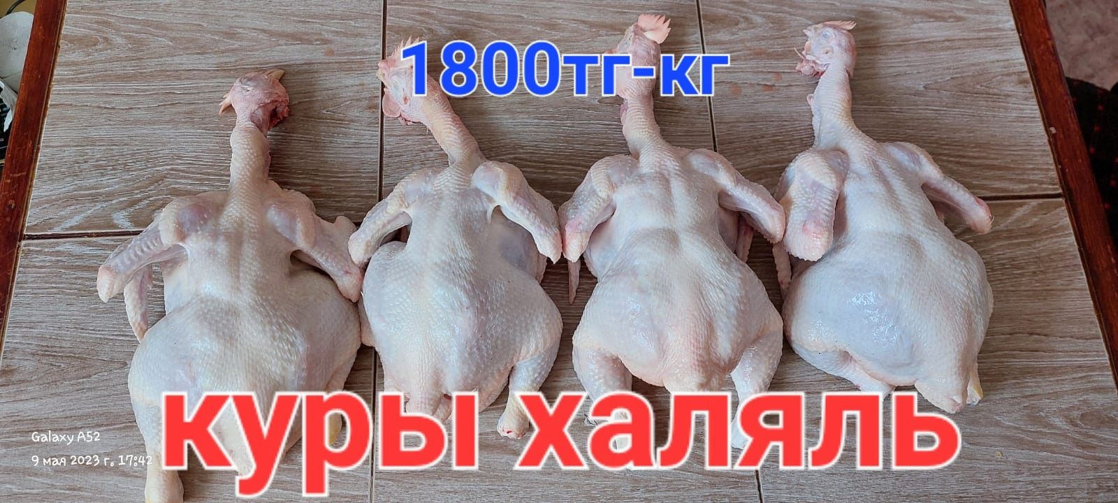 Домашние бройлерные куры ХАЛЯЛ мясной породы..