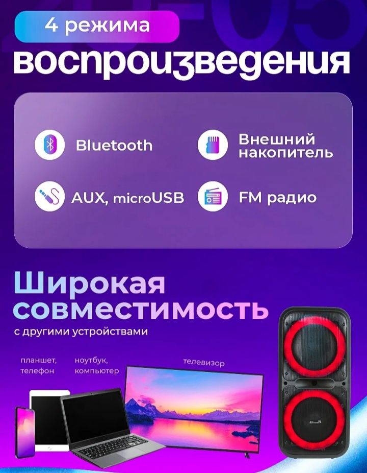 Колонка переносная с микрофонами