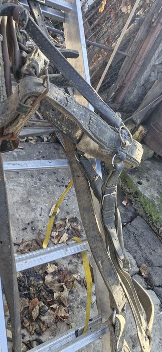 plug, grapa, marcator, prasitoare pentru cal