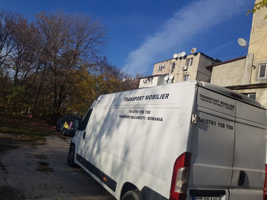 transport mobilier. mutari,moluz
