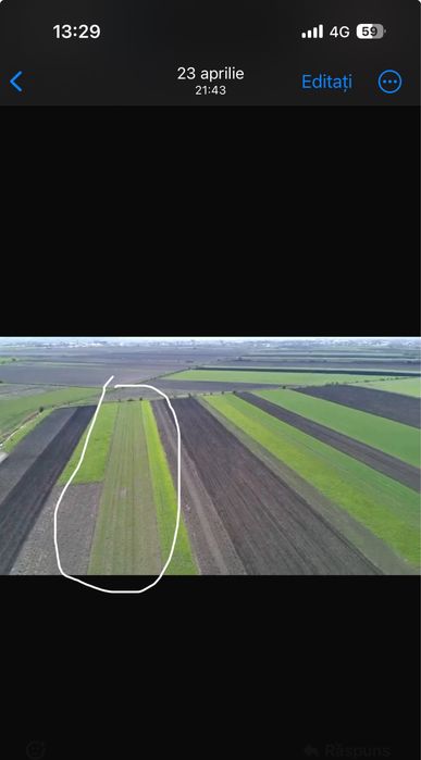 Teren 50 ari extravilan