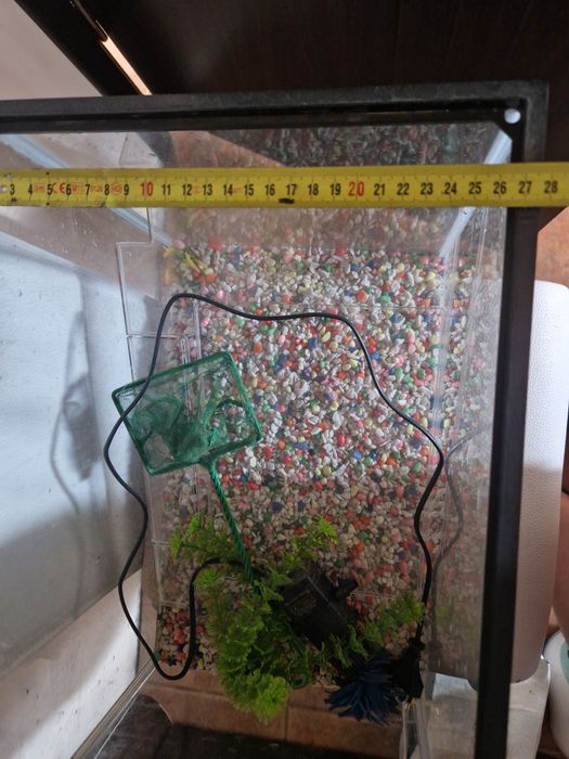 Acvariu cu accesorii