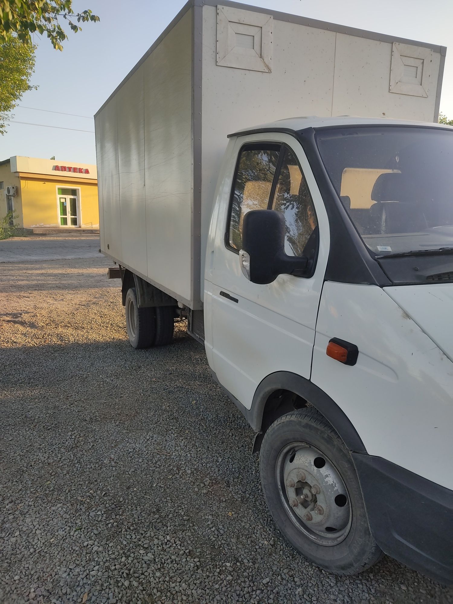 Gazel sotladi yil 12