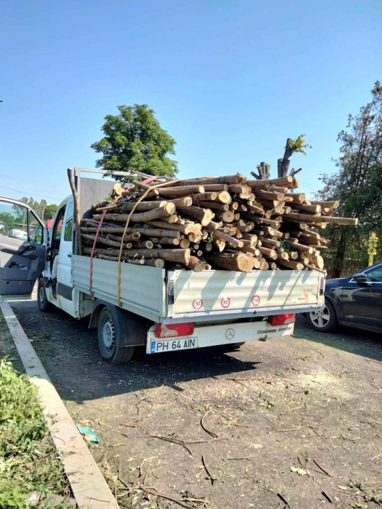 Executăm Transporturi Marfă Mobilă Moloz