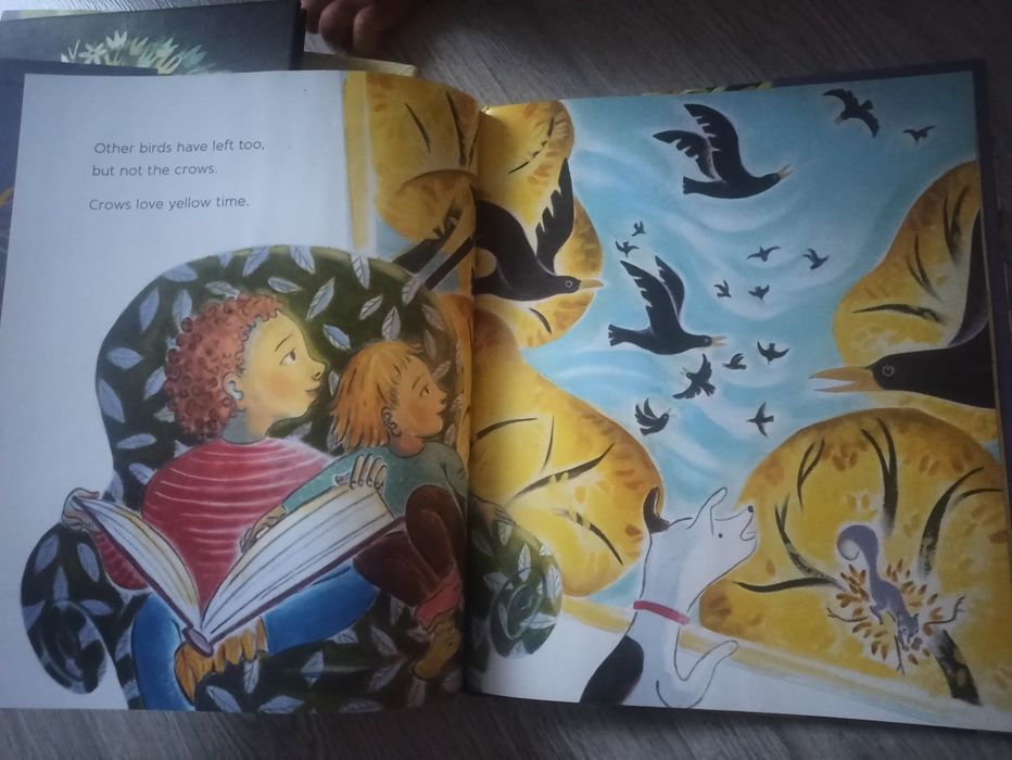 Lot 5 cărți cartonate lb engleza