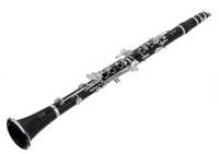 Set Clarinet Yamaha YCL-450