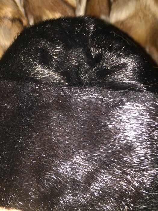 Căciula blana naturală