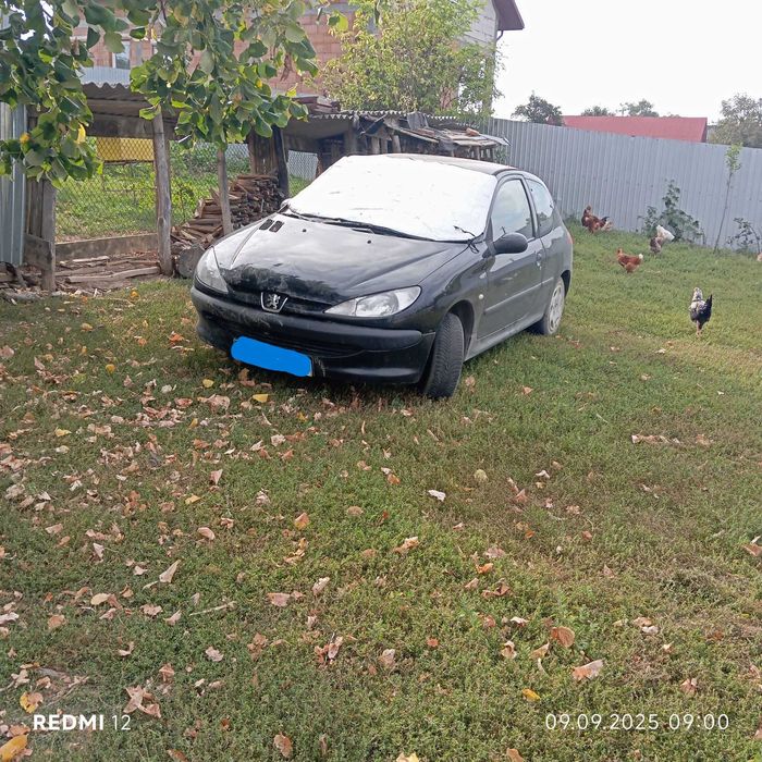 Peugeot 206 functional