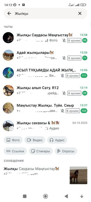 Жылқы,құлын,тай, құнан