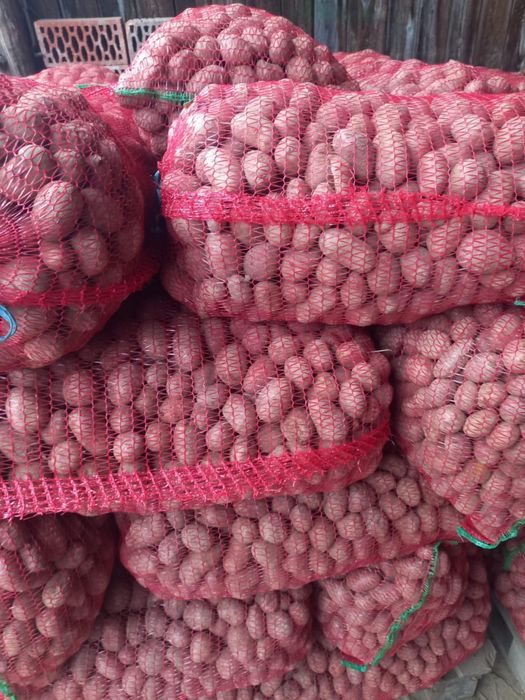 Cartofi mici pentru animale