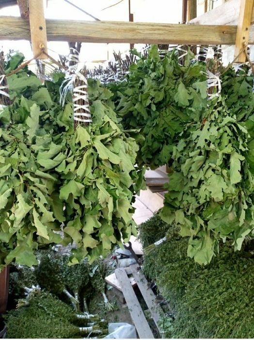 Веник дубовый для бани и сауны