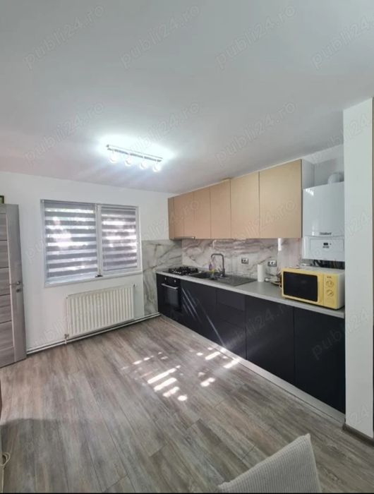 Propietar-Casa la curte