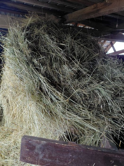 Baloti rotunzi de fan