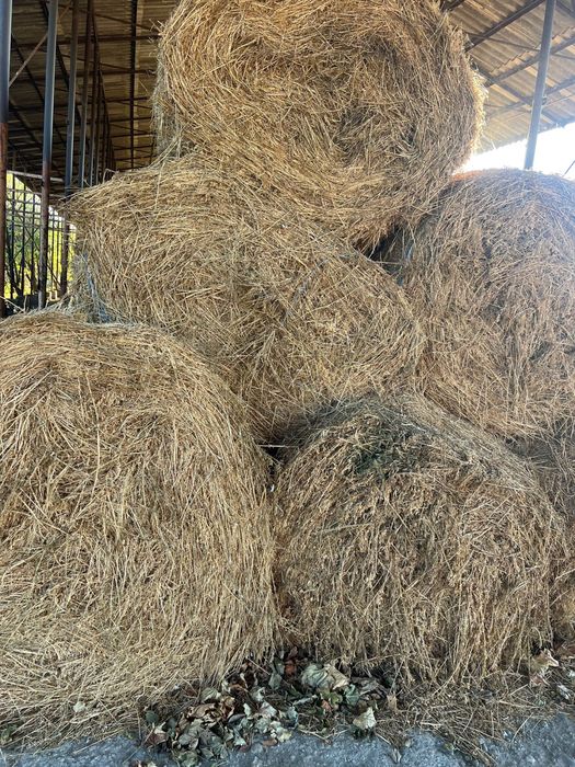 Vand baloti de lucerna