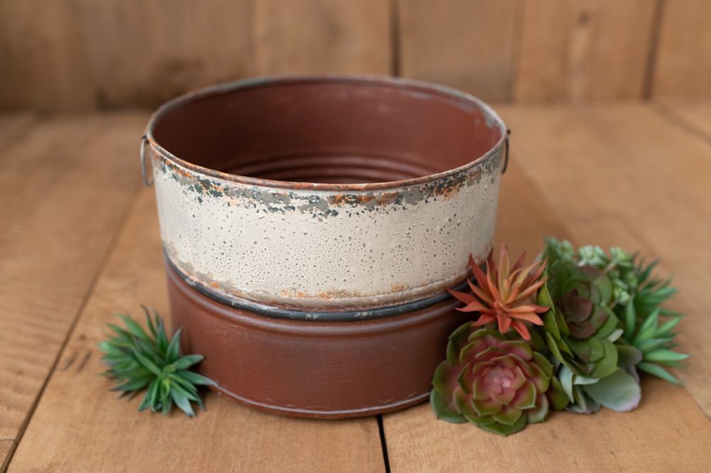 Rusty bucket - galetusa newborn - cuibar nou nascut Recuzita foto prop