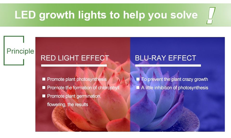 LED Лампи за стимулиране на разстежа на растенията