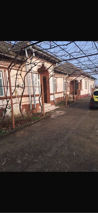 Teren si casa Ciupercenii noi !!